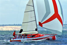 racing yacht catran 800 for sale